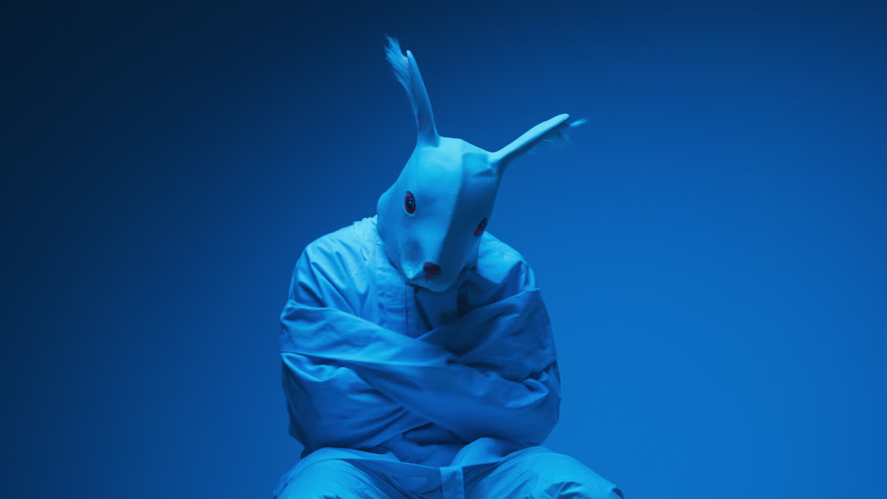A person in a bunny mask and straitjacket