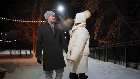 couple walking in a snowy park at night