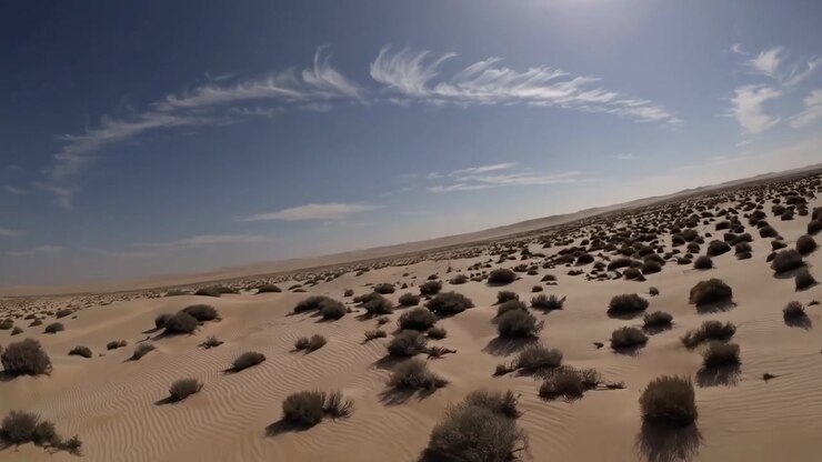 Vista aerea di un vasto paesaggio desertico con vegetazione rada