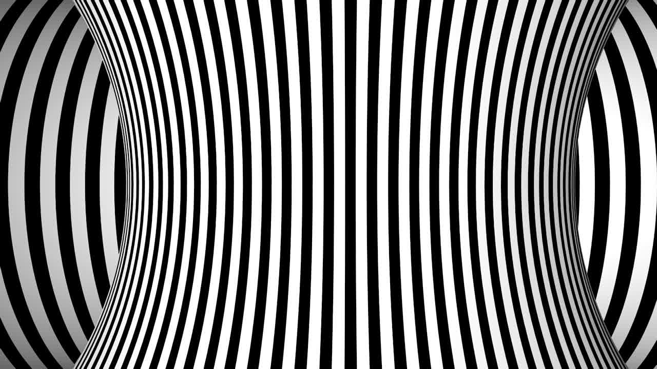 fondo blanco y negro