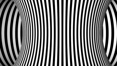fondo blanco y negro