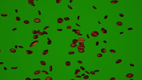 coffee beans on chromakey background.