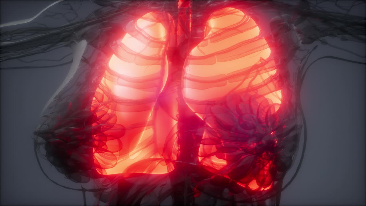 examen radiológico de los pulmones humanos