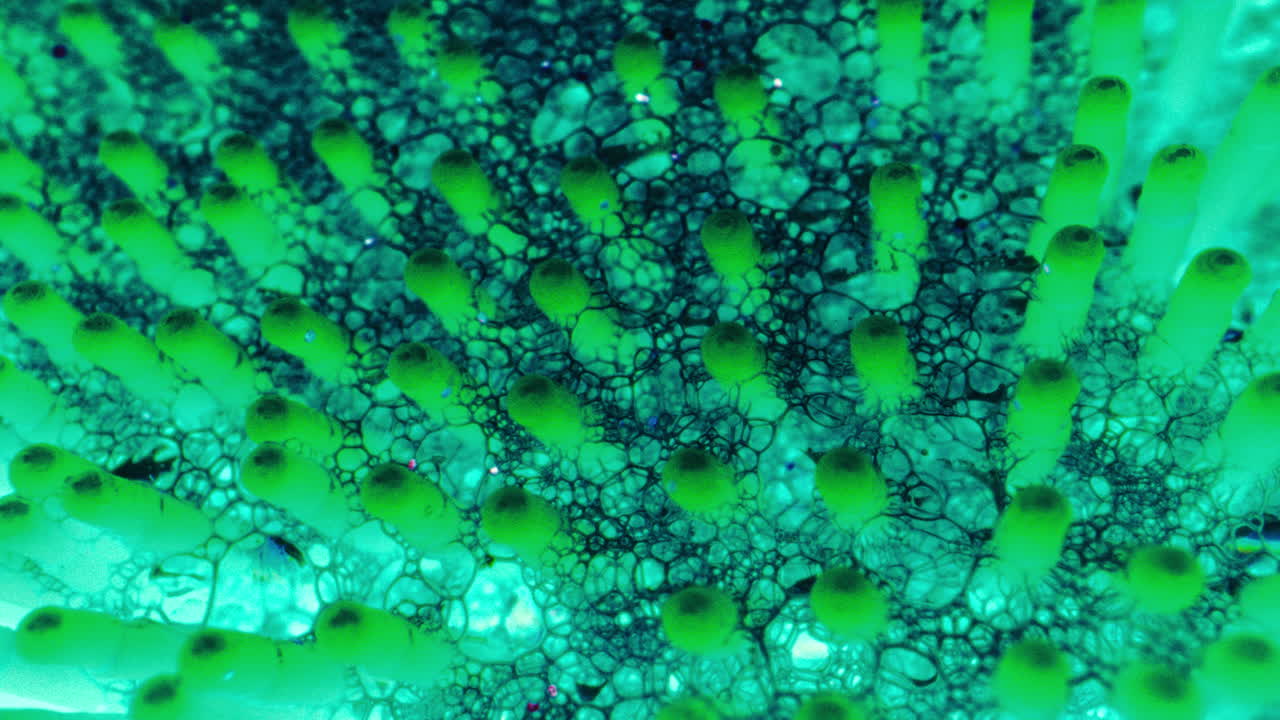 거품을 가진 추상적인 유체 예술