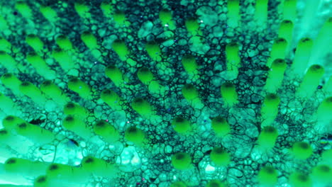 arte fluido abstracto con burbujas