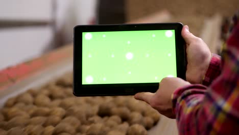 primer plano, el agricultor sostiene una tableta digital con pantalla verde en sus manos, en el fondo de las patatas que se mueven en la cinta transportadora, en el almacén. agricultura, industria alimentaria, cosecha de patatas