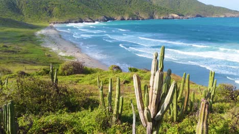 Drone-shot-over-large-cactus-with-in-the-background-water-rooling-at-the-beach-of-Tayrona-National-Park