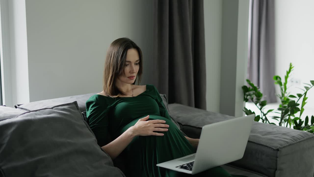 젊은 임신한 여성 프리랜서가 노트북으로 집에서 코치나 소파에서 일하고 있습니다.