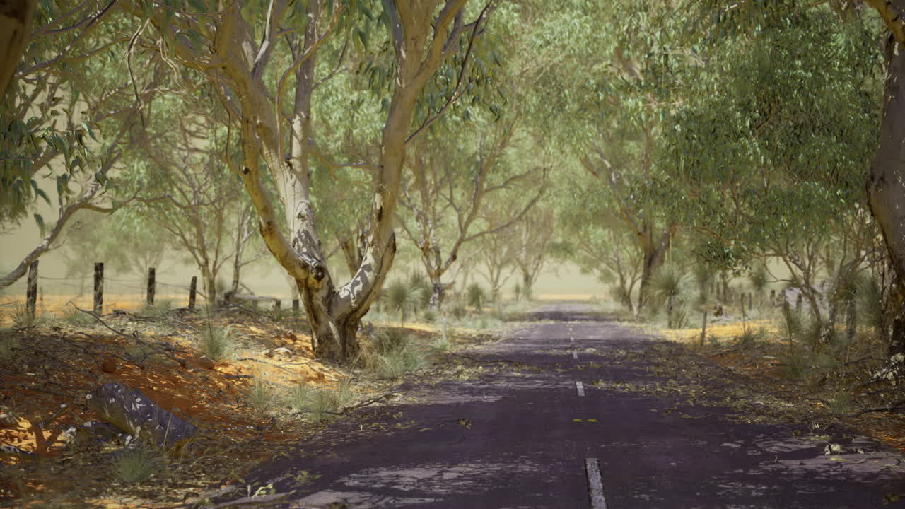 시골 환경에서 유칼립투스 나무로 둘러싸인 조용한 시골 도로