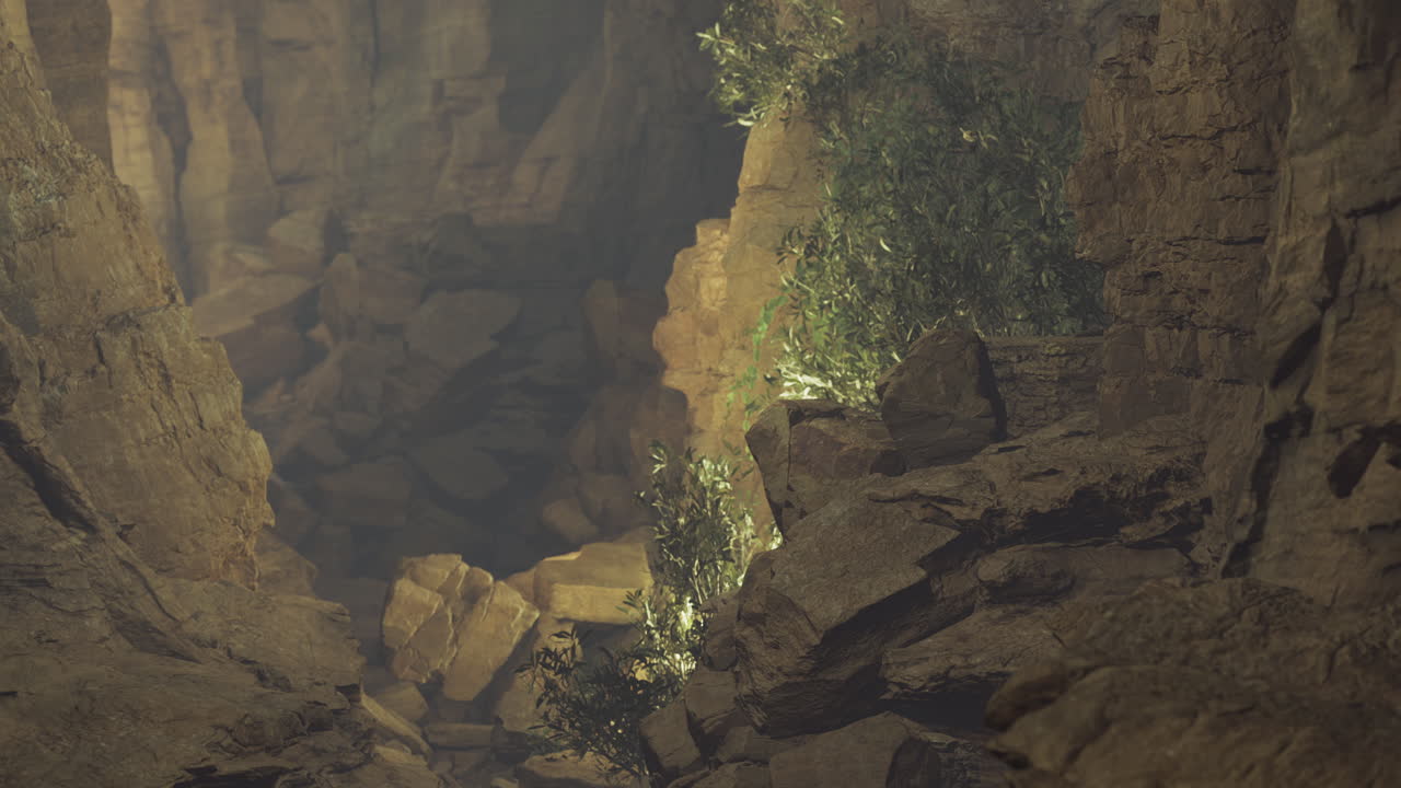 Sunlight filtering through a rocky canyon creating natural light patterns
