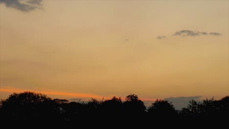 Zeitraffer-Der-Afrikanischen-Goldenen-Stunde,-Gemalt-In-Satten-Orangefarbenen-Farben