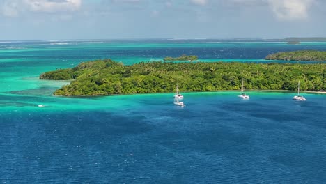 picturesque aerial of lush forest vava'u island on tropical season in tonga. upward, wide shot