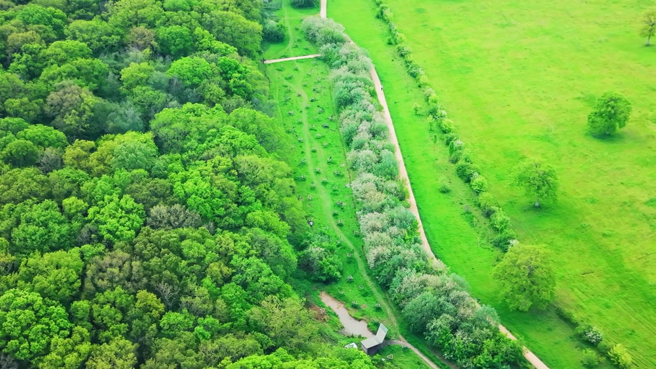 Letecké záběry z dronu ukazující okraj lesa, zelené venkovské pole, živé ploty, stromy, pěšinu a osázenou oblast biotopu ve venkovské Anglii.