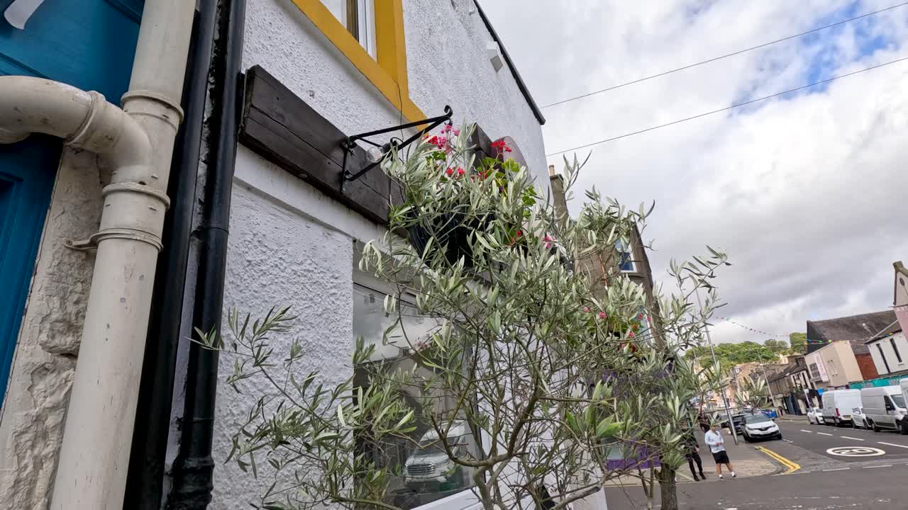 Camera pans along a town street, passing a hanging flower basket and leafy plant against a colorful building in daylight with soft, natural lighting