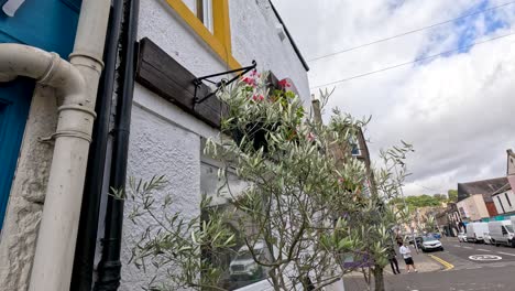 camera pans along a town street, passing a hanging flower basket and leafy plant against a colorful building in daylight with soft, natural lighting