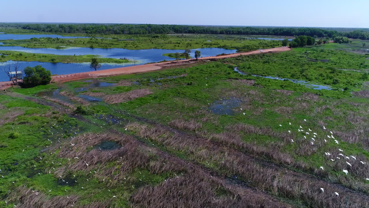 antena de fogg dam con pájaros