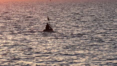 Silueta-De-Kayak-En-Cámara-Lenta-Con-Pelícano-Volando-Cerca