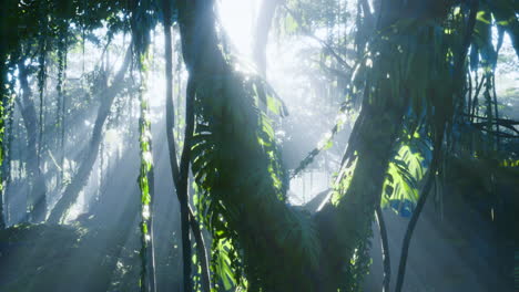 sunlight filters through lush foliage in a vibrant rainforest setting