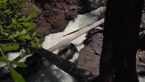 un fuerte río de aguas bravas fluye río abajo - día