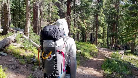 siguiendo a un chico caminando por un sendero en colorado-1