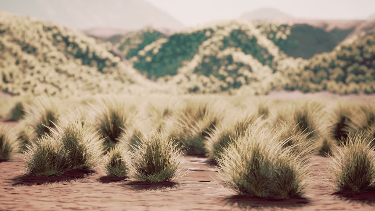 몽골 의 고비 사막 풍경