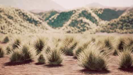 paisaje del desierto de gobi en mongolia