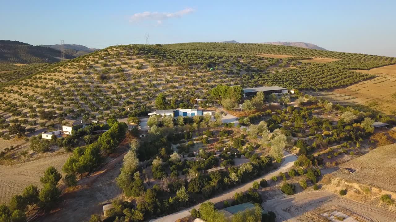 toma aérea de casas blancas en una colina rodeada de campos de olivos en españa