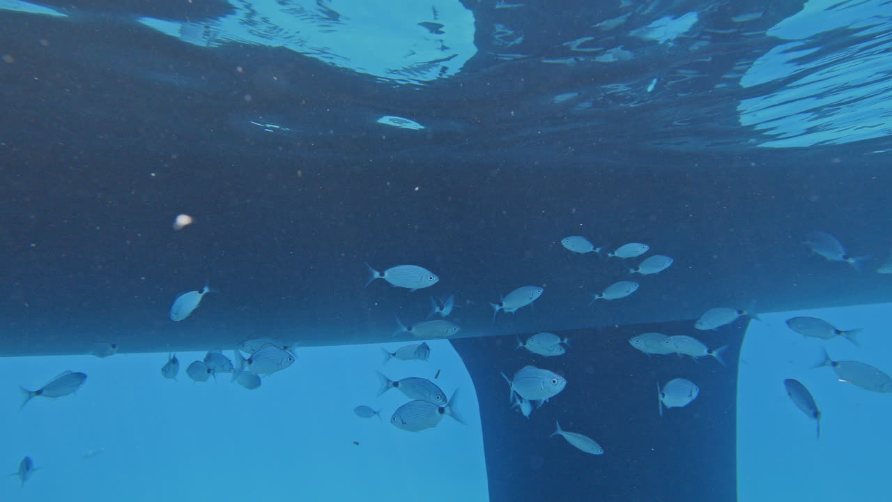 underwater view looking up to a yacht in lefkada, greece
