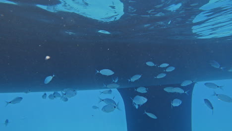 underwater view looking up to a yacht in lefkada, greece