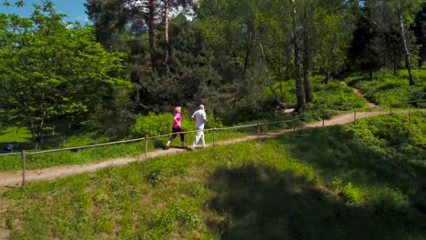 semior couple running in summer park, aerial view