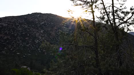 Increíble-Puesta-De-Sol-Sobre-Las-Montañas-De-Kernville,-California,-Con-Una-Explosión-De-Estrellas-De-Color-Naranja-Brillante-Que-Atraviesa-Un-Pino-De-Azúcar