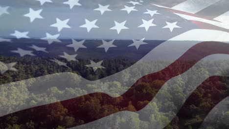 american flag and a view of a forest