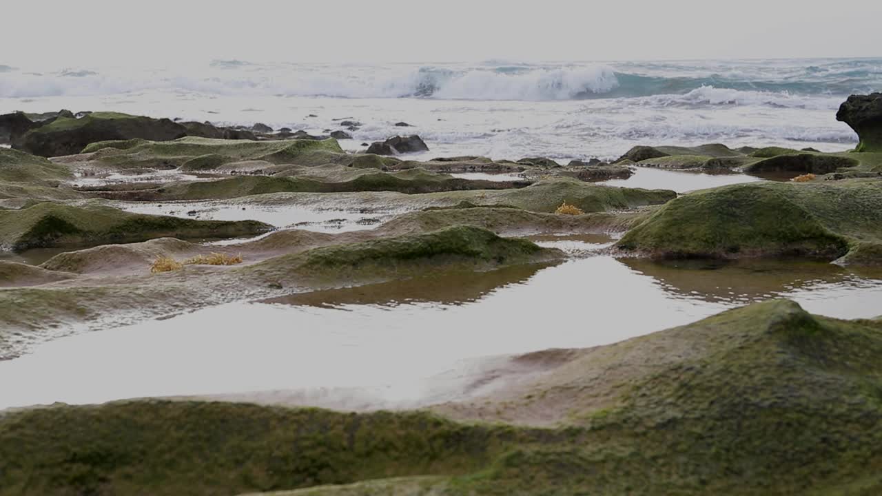 escena costera de paisaje marítimo tranquilo con rocas de musgo y charcos de agua de mar en primer plano y el océano atlántico en el fondo 50fps hd disparo estático