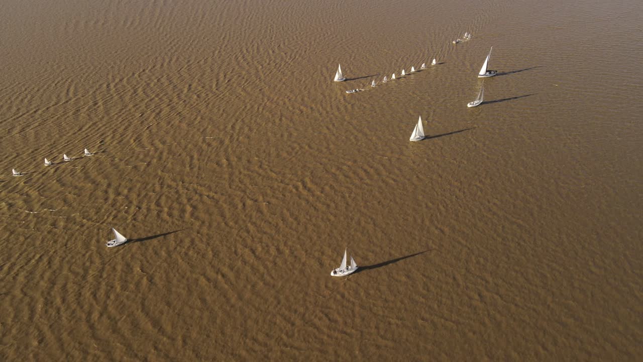 Aerial track shot of many sailboats sailing in direction ocean during sunset - South America, Atlantic Ocean