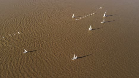 Aerial-track-shot-of-many-sailboats-sailing-in-direction-ocean-during-sunset---South-America,-Atlantic-Ocean