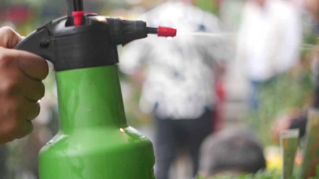 Spruzzare le piante con un nebulizzatore da giardino