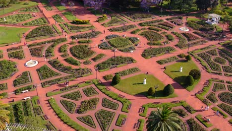 palermo woods argentina, buenos aires city, aerial view, gardens and jacaranda violet tree flowers, spring in the capital of argentina, travel and tourism