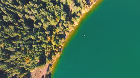 vista de arriba hacia abajo del agua turquesa con kayak en el lago saint ann en rumania - toma aérea de drones