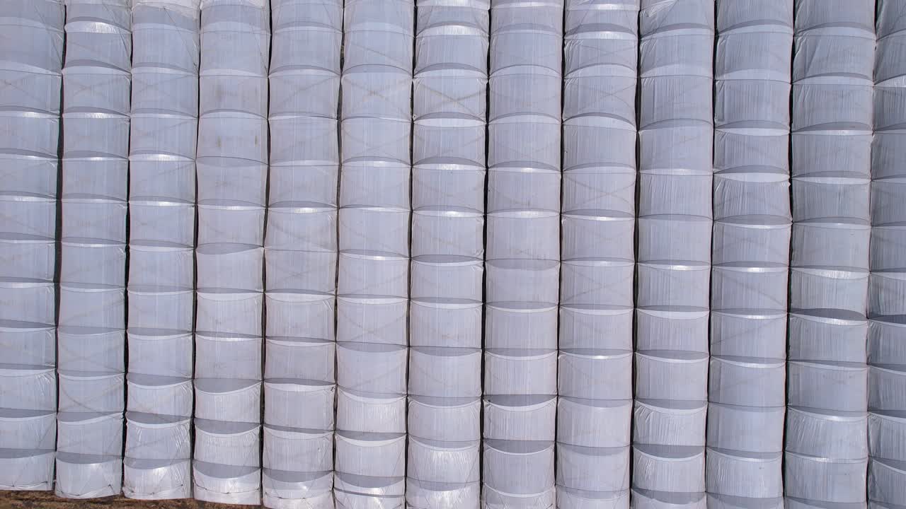 Aerial Soar above Blueberry Plantation to reveal how large the farm is in Michoac&aacute;n Mexico