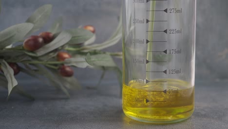 aceite de oliva en botella medidora con rama de olivo