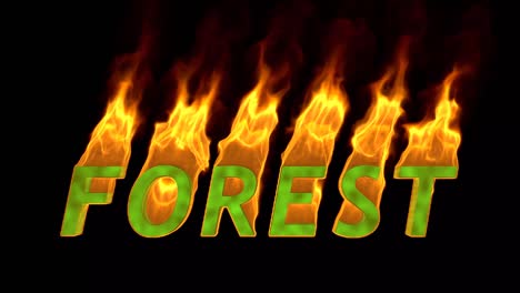 the word forest is on fire