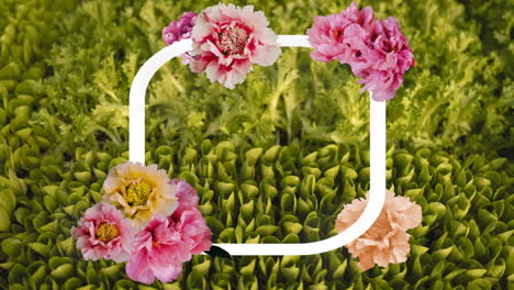 blooming flowers animation over green leaves background
