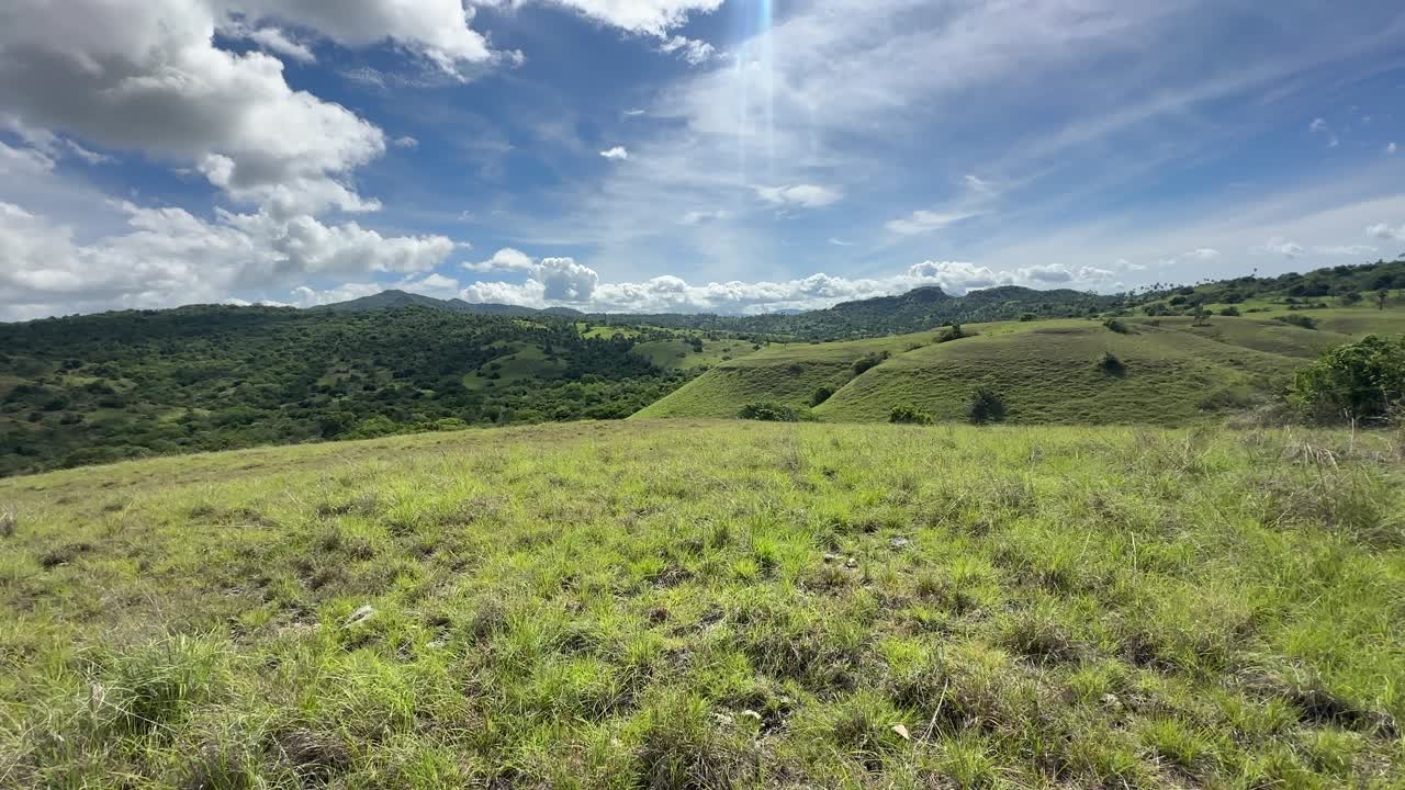 pan de grandes pastizales en el parque nacional de komodo, indonesia