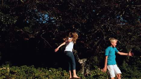 Geschwister-Springen-Auf-Einem-Trampolin-