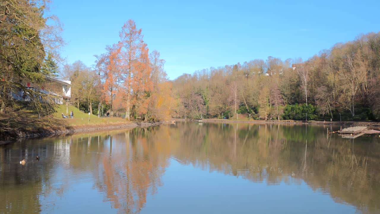reflexiones sobre un lago tranquilo en el jardín alemán-francés, saarbrücken, alemania