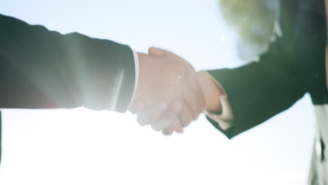 Professional,-partnership-and-shaking-hands