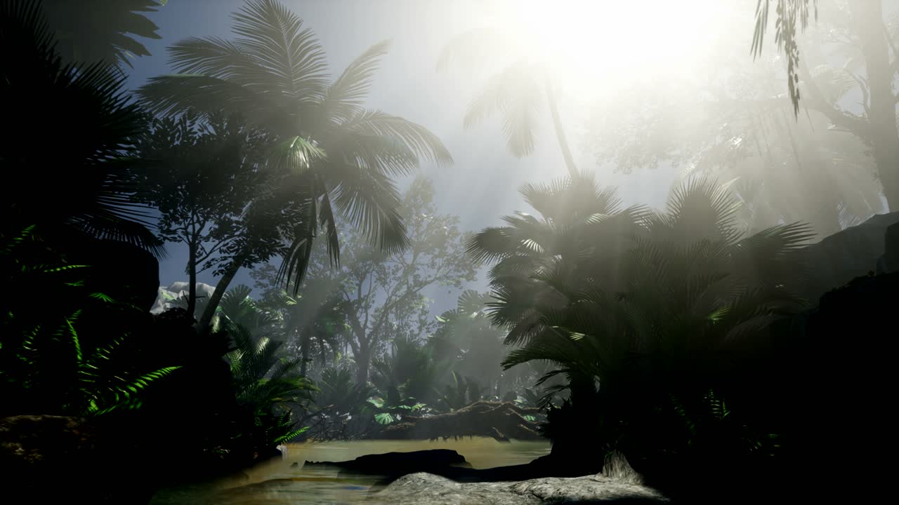 los rayos del atardecer a través de las palmeras