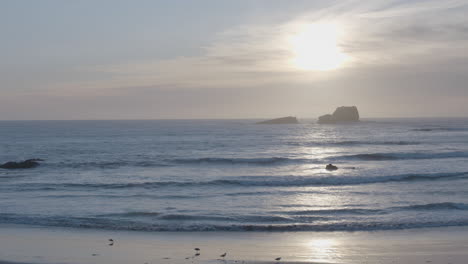 Sunset-with-seagulls-flying-around