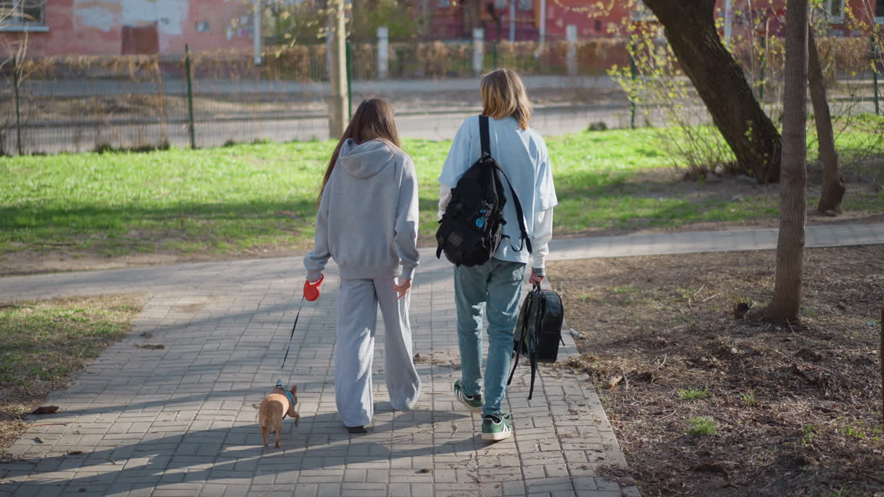 한 쌍의 친구들이 애완동물과 산책하는 모습이에요. 백인 친구들이 해 질 녘에 작은 강아지와 함께 나무 사이를 편안하게 걷고 있어요. 두 친구가 미니어처 강아지와 함께 해질 무렵 그늘진 길을 따라 한가로이 산책하고 있어요.