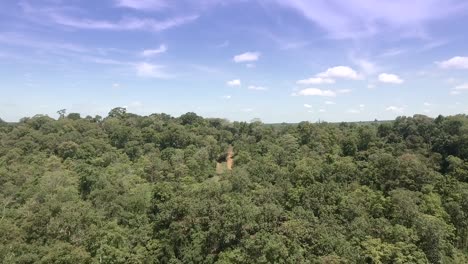 aerial drone shot : fly over rainforest